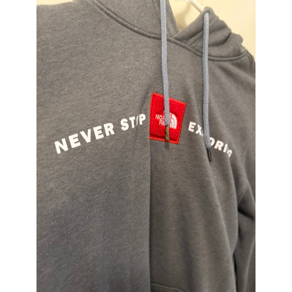 The North Face Mens Never Stop Exploring Red Box Logo Hoodie Gray Small - Picture 2 of 4